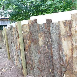 Old coati enclosure, August 2022