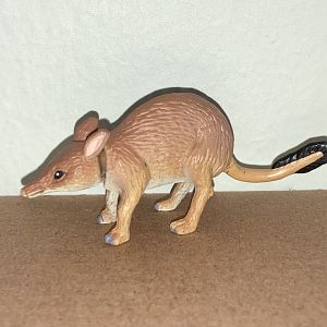 Cadbury Yowie Forgotten Friends A: Southern Pig-footed Bandicoot