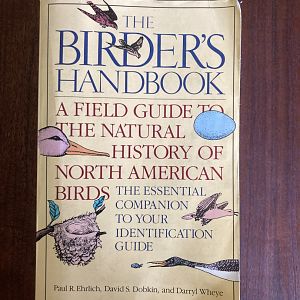 The Birder’s Handbook: A Field Guide to the Natural History of North American Birds (Front Cover)