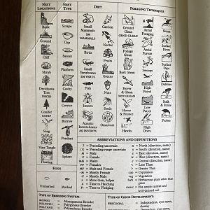 The Birder’s Handbook: A Field Guide to the Natural History of North American Birds (Key to Symbols)