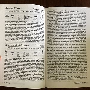 The Birder’s Handbook: A Field Guide to the Natural History of North American Birds (Example Pages)