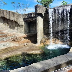 Grizzly Bear Exhibit