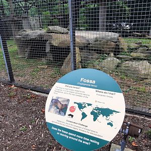 New Fossa Exhibit