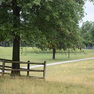 [July 2022] main Deer Park