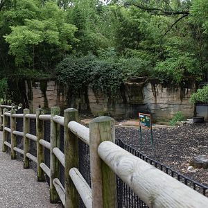 [July 2022] Tier Garten- emu (Dromaius novaehollandiae) enclosure