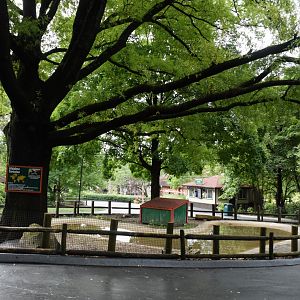 [July 2022] Tier Garten- Aldabra giant tortoise (Aldabrachelys gigantea) enclosure