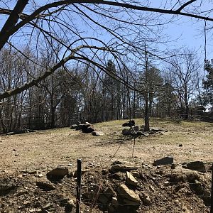 Bison and Deer Exhibit
