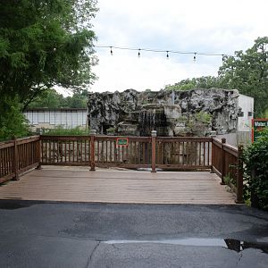 [July 2022] Tier Garten- Domestic water buffalo  (Bubalus bubalis) viewing platfrom