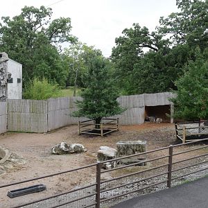 [July 2022] Tier Garten- water buffalo (Bubalus bubalis) enclosure