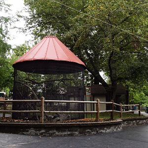 [July 2022] Tier Garten- laughing kookaburra (Dacelo novaeguineae) cage