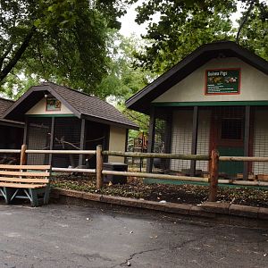 [July 2022] Tier Garten- chicken (Gallus domesticus), golden pheasant (Chrysolophus pictus), and guinea pig (Cavia porcellus) cages