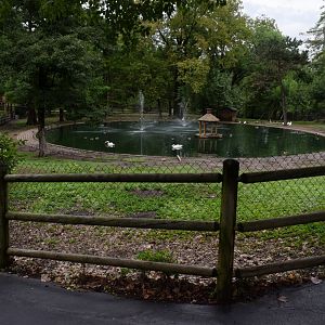 [July 2022] Tier Garten- waterfowl lake