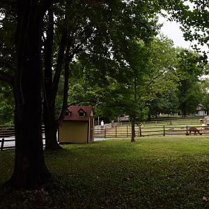 [July 2022] Tier Garten- alpaca and llama yards