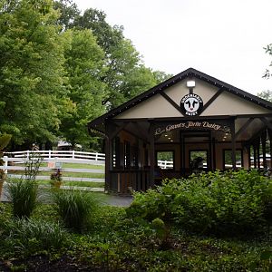 [July 2022] Tier Garten- Undeniably Dairy exhibit and domestic cattle (Bos taurus) exhibit