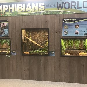 Zoo Center - Amphibians of the World