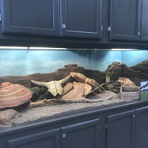 Zoo Center - Repainted Gila Monster Terrarium