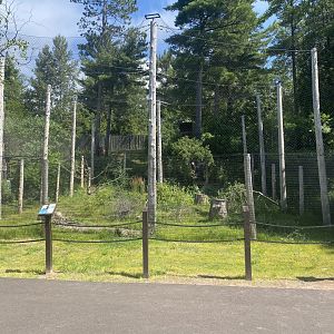 New Bald Eagle Aviary