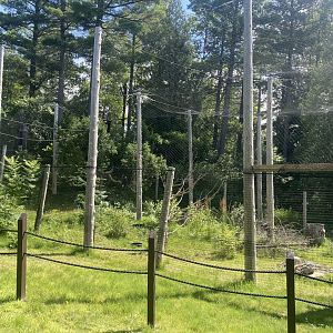 New Bald Eagle Aviary