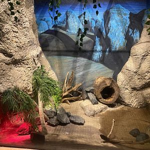 Marten’s Water Monitor Exhibit