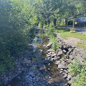 Retaining Wall around Kingsbury Creek