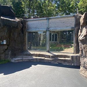 Bear County - Black Bear Viewing