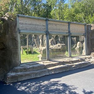 Bear Country - Black Bear Viewing