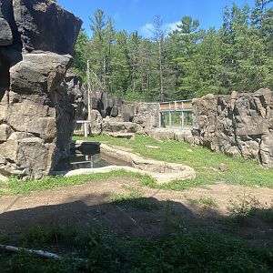Bear County - American Black Bear Exhibit