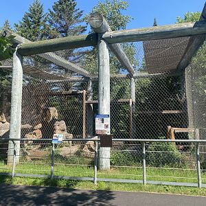 Asian Caravan - Snow Leopard Exhibit