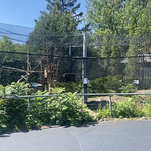 Bear Country - New North American Porcupine/Common Raven Exhibit