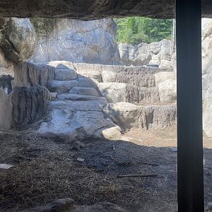 Bear Country - Alaskan Brown Bear Den