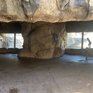 Bear Country - Underground Viewing of Alaskan Brown Bear Exhibit