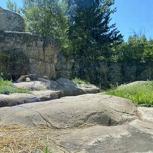 Bear County - North American River Otter Exhibit