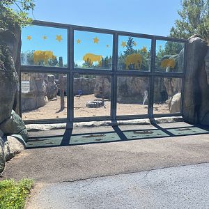 Bear Country - Alaskan Brown Bear Exhibit