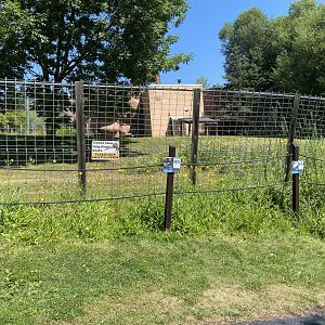 Asian Caravan - Central Chinese Goral/White-Naped Crane Exhibit