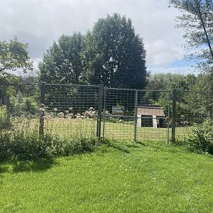 Asian Caravan - Central Chinese Goral/White-Naped Crane Exhibit