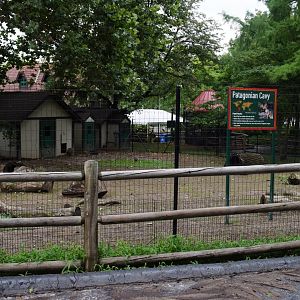 [July 2022] Tier Garten- Patagonian cavy (Dolichotis patagonum) enclosure