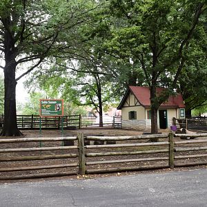 [July 2022] Tier Garten- sable saanan (Capra hircus) yard