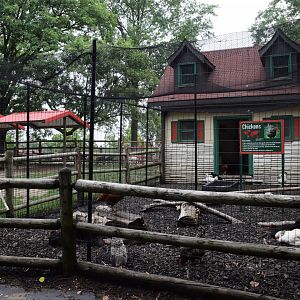 [July 2022] Tier Garten- chicken (Gallus domesticus) enclosure