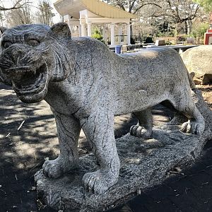 Stone Tiger