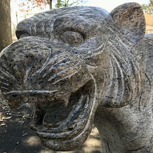 Stone Tiger Detail