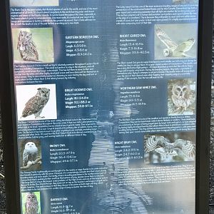 Information Sign Close-up