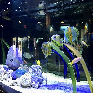 Mystic Aquarium Exhibits