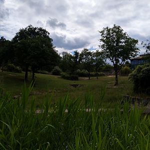 Enclosure for South African elephant