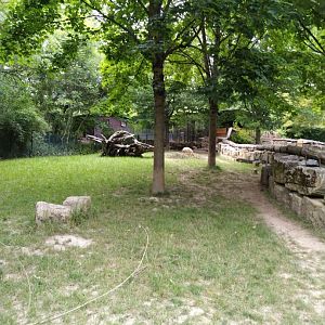 Enclosure for Sulawesi babirusa