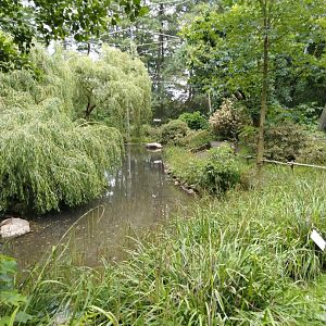 Interior marshland aviary
