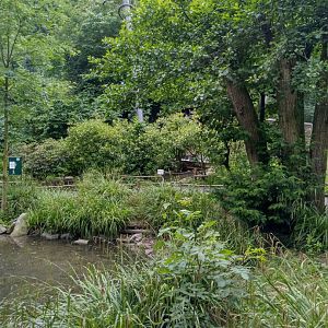 Interior marsland aviary