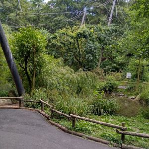 Interior marshland aviary