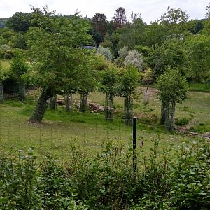 Buchare deer enclosure