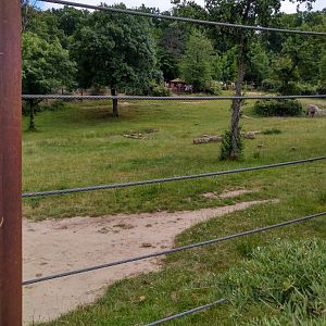 South African elephant enclosure