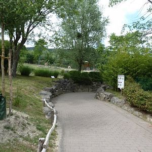 African savanna - start of the canyon walk